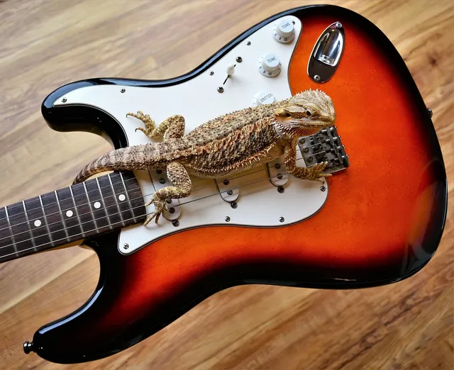 DF310N Electric Guitar