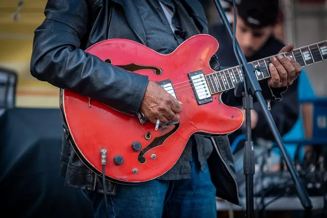 Gig Bag