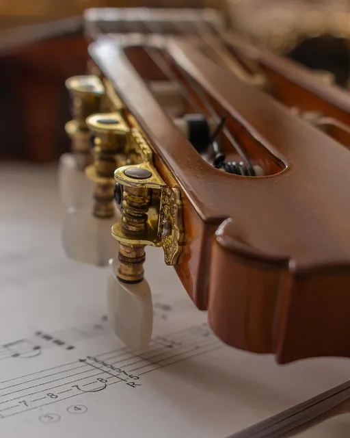 PPS Nut And Saddle For Acoustic Guitar
