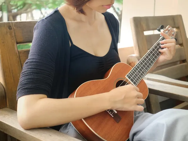 26 Inch Ukulele Bag
