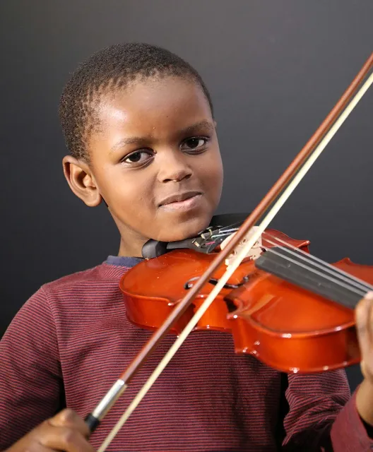 Good quality Solid Wood Violin