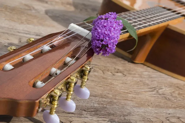 Acoustic Guitar