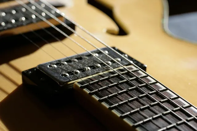 DF309N Electric Guitar
