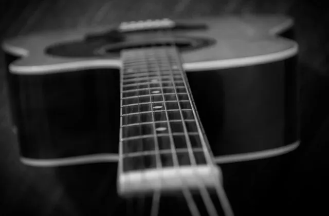 Acoustic Guitar