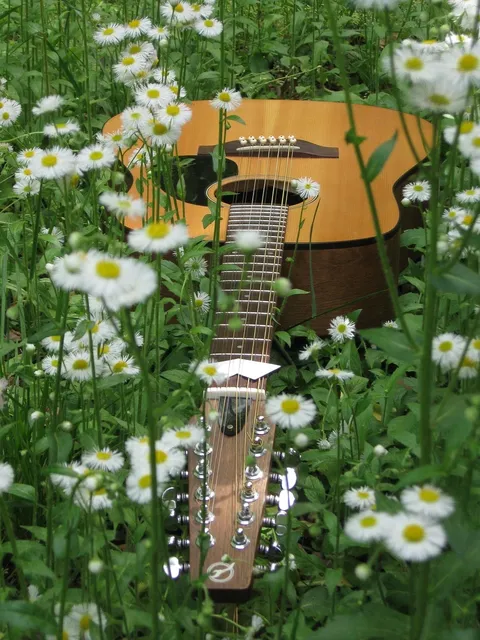 36 Inch GS Mini Acoustic Guitar