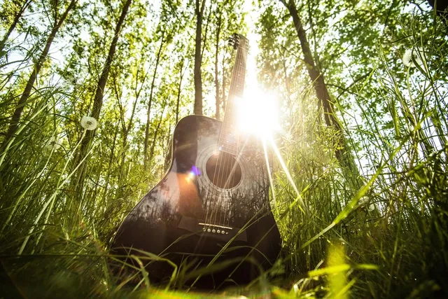 Acoustic Guitar