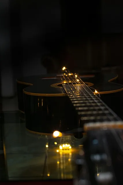 Acoustic Guitar Humidifier