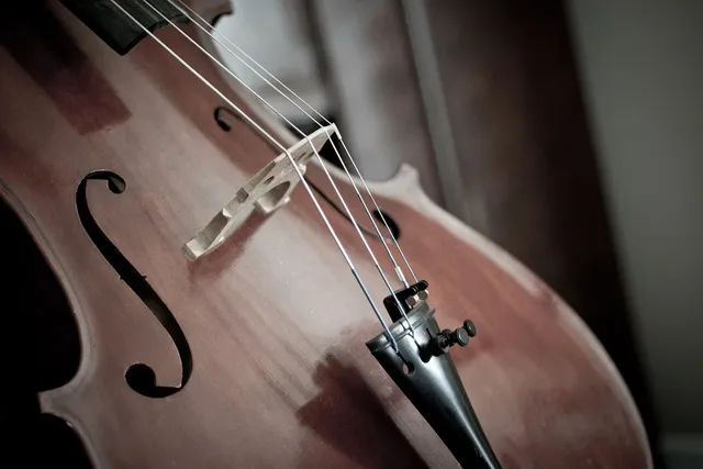 Solid Wood Cello with Matt Finish