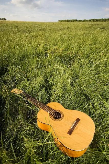 PPS Nut And Saddle For Classical Guitar