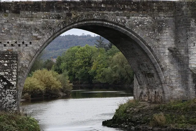 B-Pin-6 Ox Bone Bridge Pin