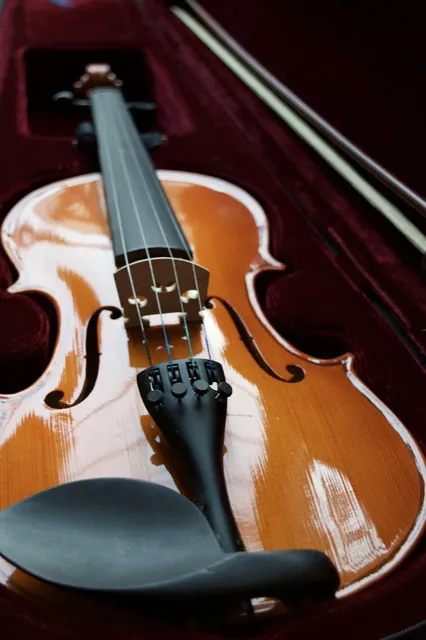 Ukulele Hard Case