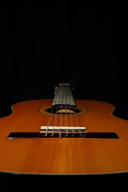 Acoustic Guitar