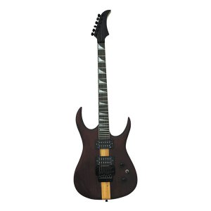 DF209 Electric Guitar