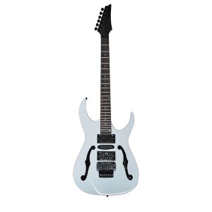 DF219 Electric Guitar