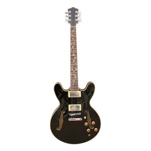 DF331F Electric Guitar