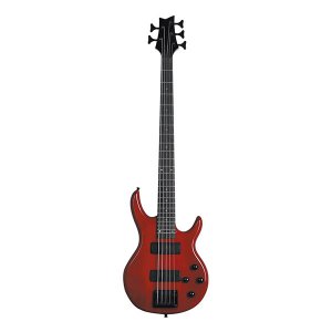 5 String Electric Bass