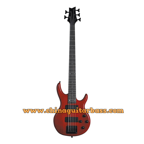 5 String Electric Bass