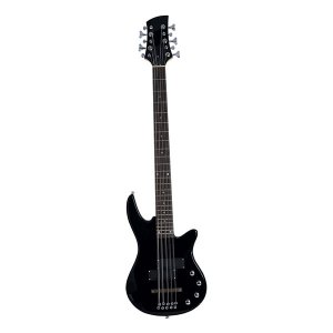 DF504 10 String Electric Bass