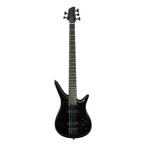 10 String Electric Bass