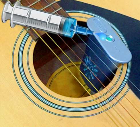 Guitar Humidifier