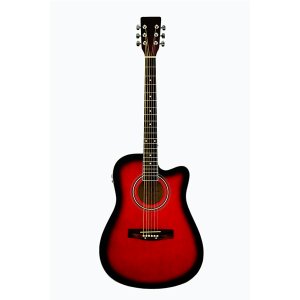 Acoustic Guitar