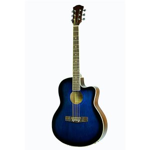 Acoustic Guitar