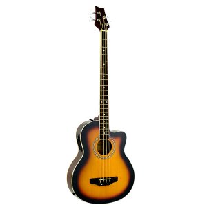 Acoustic Guitar