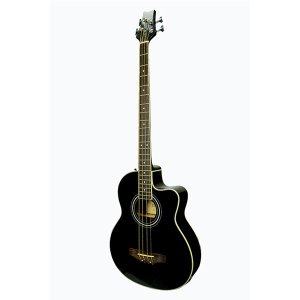 Acoustic Guitar